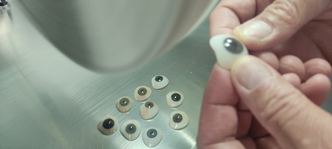 Laboratorio de Protesis Oculares